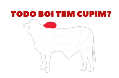 Todo Boi tem Cupim?